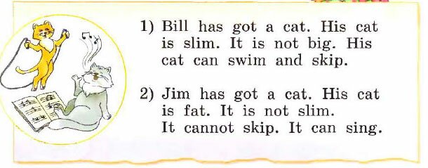 Yes his. Перевести has Jim got a Cat. He has got a Cat вопрос по английскому. Jim has got a Cat. Bill has got a Cat перевод на русский.