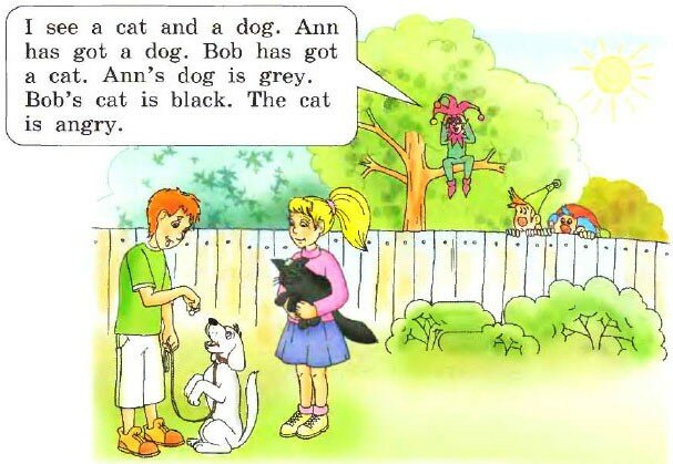 Ann and bob. Enjoy English 2 класс кошка. Ann has got a Cat. I see a Cat and a Dog. Ann has got a Dog.. Ann has got a Black Cat..